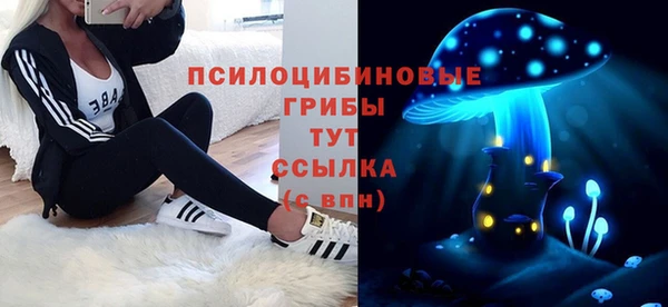 скорость Каменка