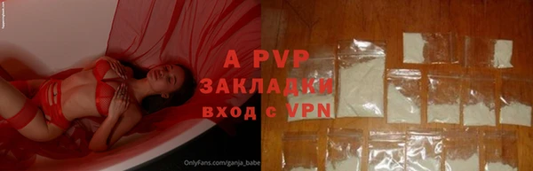 бошки Каменногорск