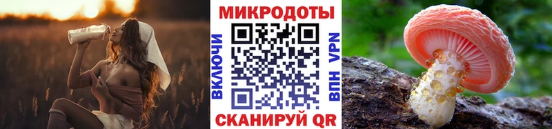 Галлюциногенные грибы Cubensis  Кунгур 
